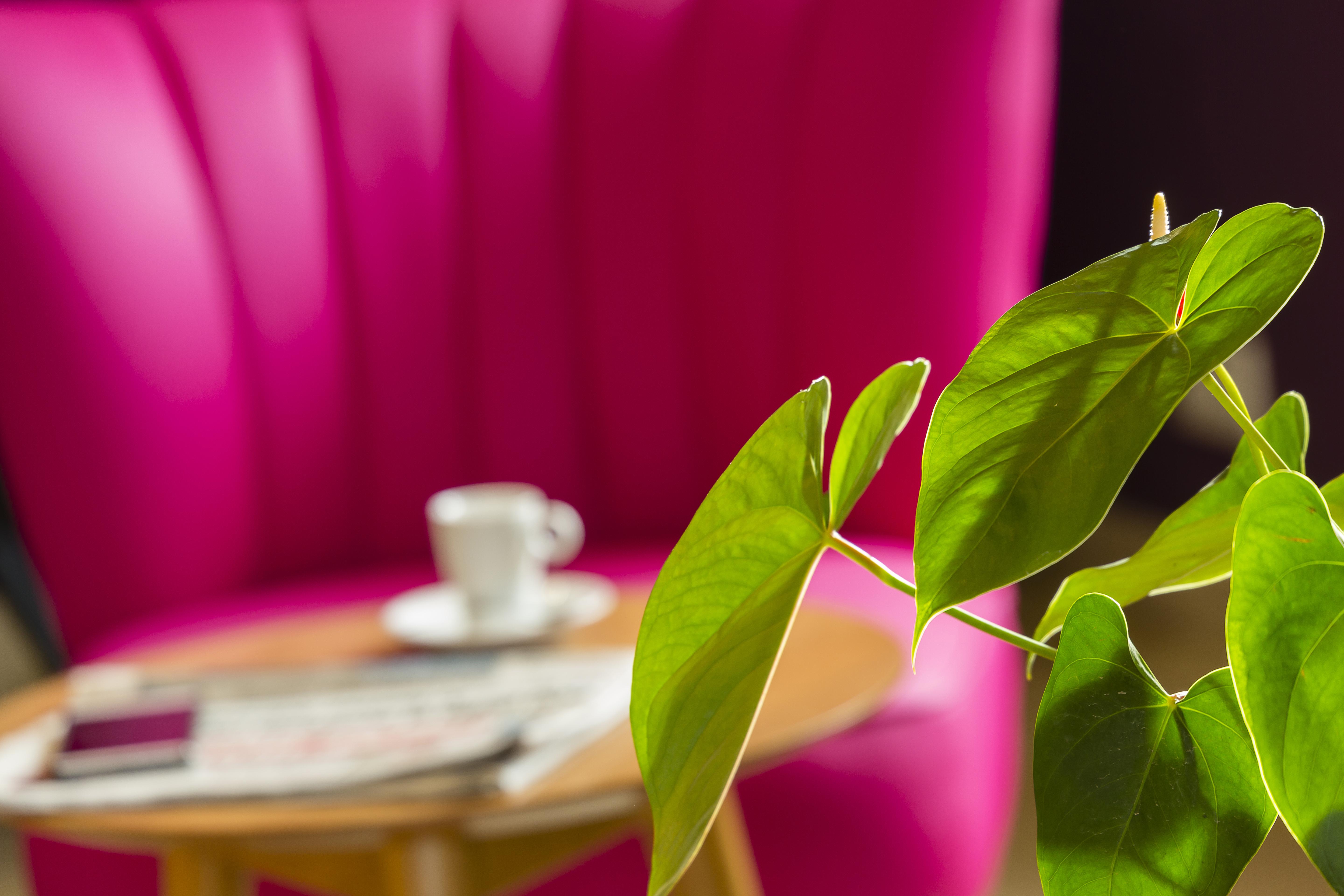 Hotel La Lagune Lucciana  Εξωτερικό φωτογραφία