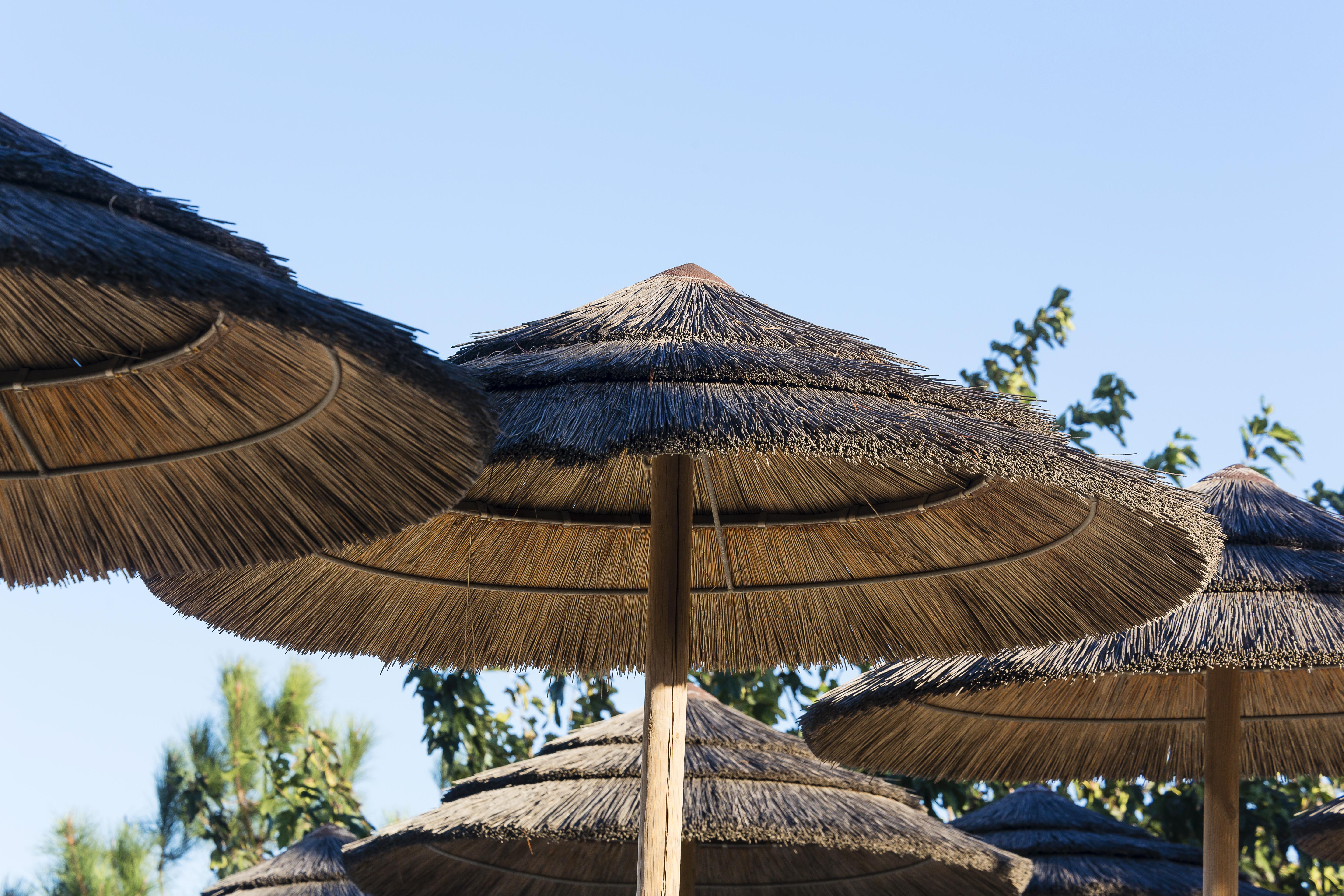 Hotel La Lagune Lucciana  Εξωτερικό φωτογραφία